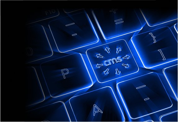 CMS Web Development Services