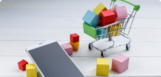 Online Stores & Shopping Carts